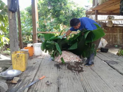 Fermenting-in-Banana-Leaves-2