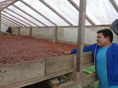 Drying Cacao 2